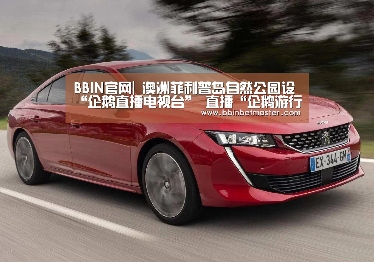 BBIN官网|
澳洲菲利普岛自然公园设“企鹅直播电视台” 直播“企鹅游行”(图3) BBIN竞猜