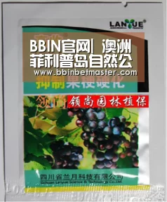 BBIN官网|
澳洲菲利普岛自然公园设“企鹅直播电视台” 直播“企鹅游行”(图2) BBIN百家乐