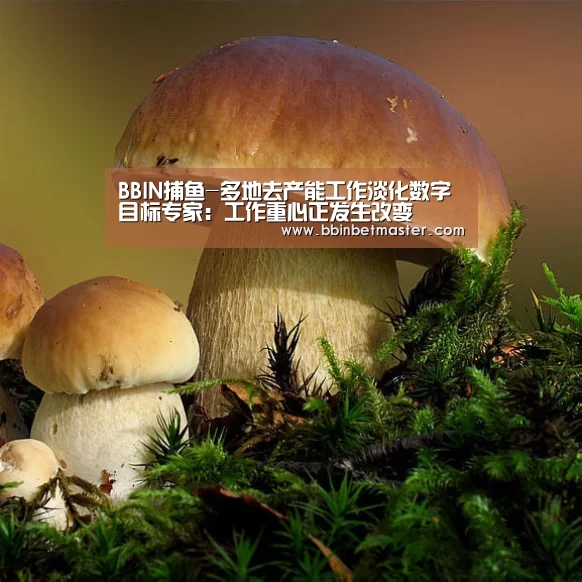 BBIN捕鱼-多地去产能工作淡化数字目标专家:工作重心正发生改变(图3) BBIN竞猜