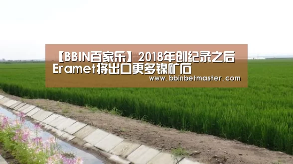 BBIN捕鱼