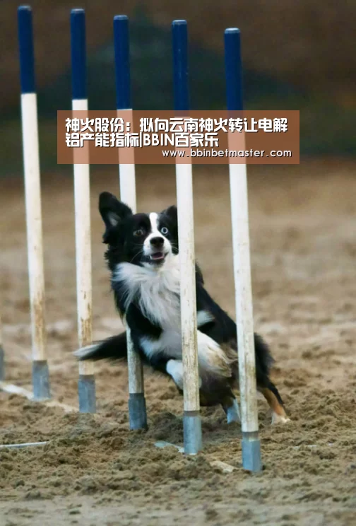 神火股份:拟向云南神火转让电解铝产能指标|BBIN百家乐(图3) BBIN竞猜